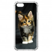 iPhone 5/5S